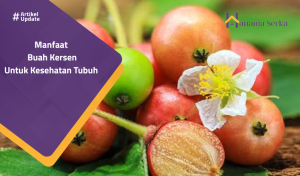 Read more about the article Manfaat Buah Kersen Untuk Kesehatan Tubuh