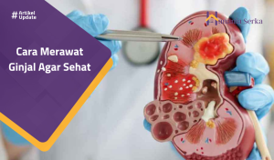 Read more about the article Cara Merawat Ginjal Agar Sehat
