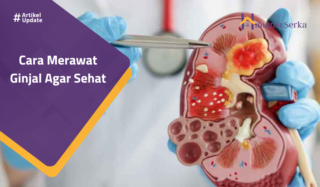 You are currently viewing Cara Merawat Ginjal Agar Sehat