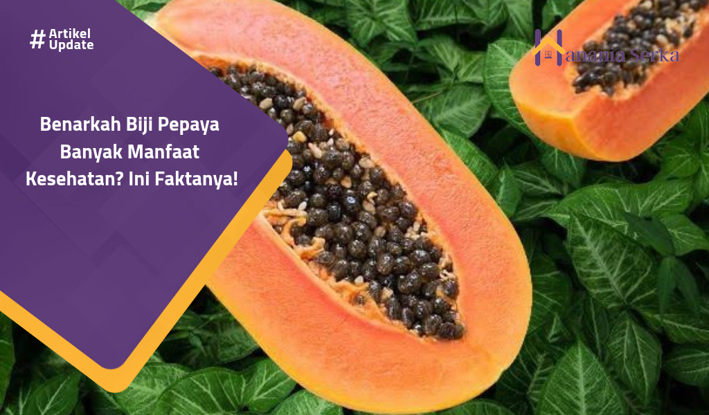 You are currently viewing Benarkah Biji Pepaya Punya Banyak Manfaat Kesehatan? Ini Faktanya!