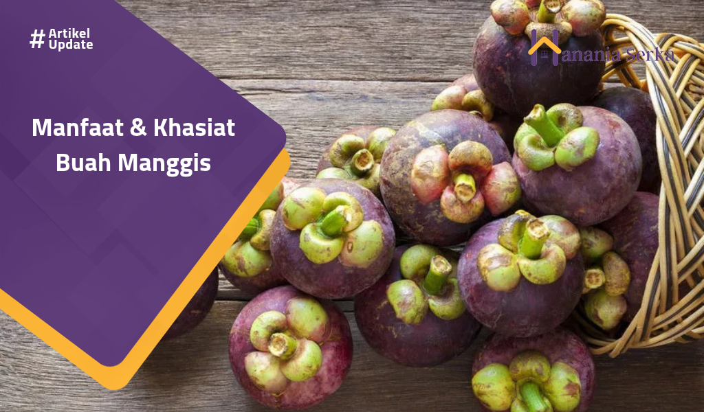 You are currently viewing Manfaat & Khasiat Buah Manggis