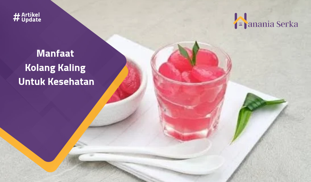 You are currently viewing Manfaat Kolang Kaling Untuk Kesehatan
