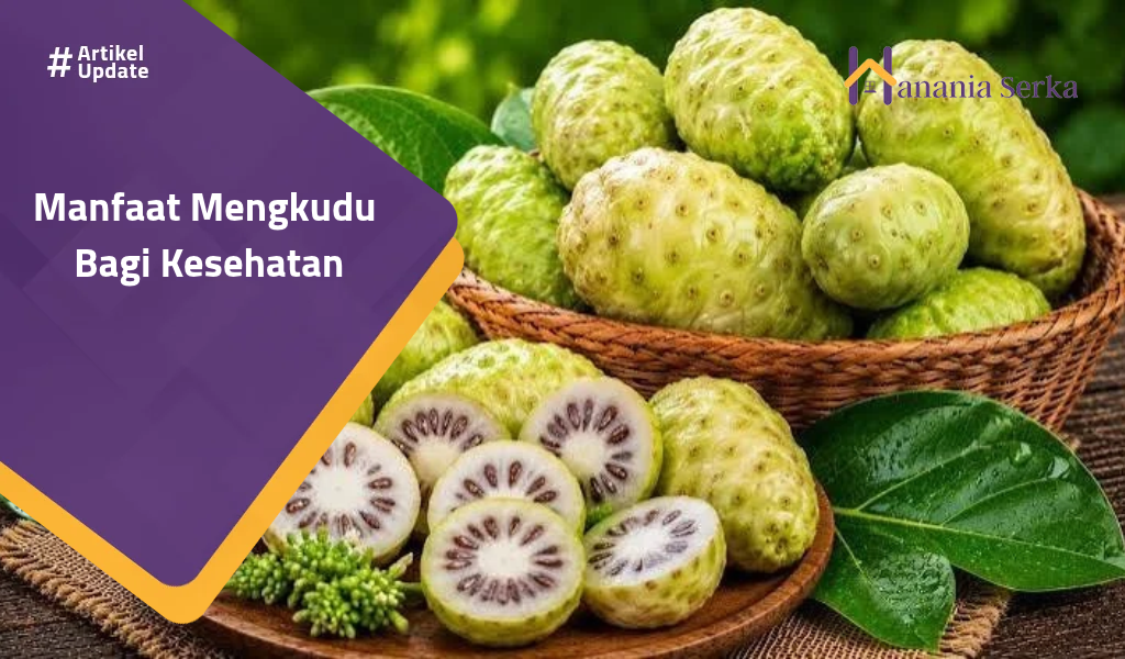 You are currently viewing Manfaat Mengkudu Bagi Kesehatan